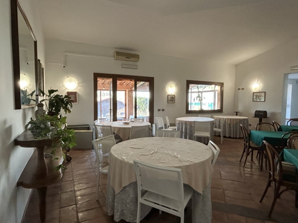 IMG_3932 (FILEminimizer).jpeg